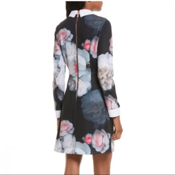 TED BAKER chelsea Floral collar dress size 2 - Picture 3 of 9